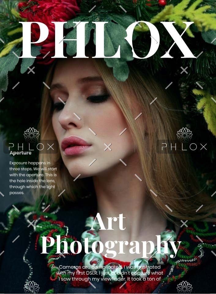 Demo Attachment 583 Magazine