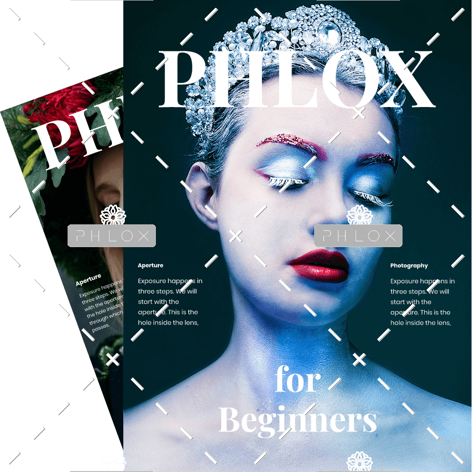 Demo Attachment 600 Phlox Mag